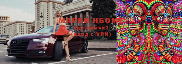 ПСИЛОЦИБИНОВЫЕ ГРИБЫ Ладушкин