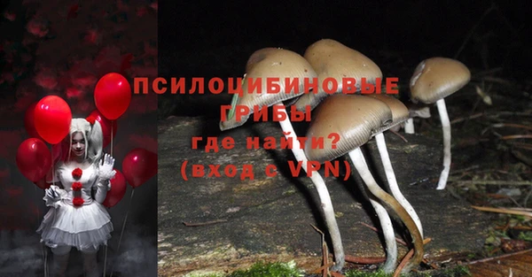 ешки Лагань