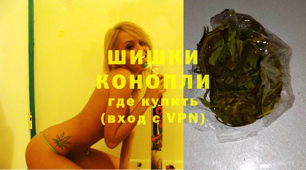 ПСИЛОЦИБИНОВЫЕ ГРИБЫ Ладушкин