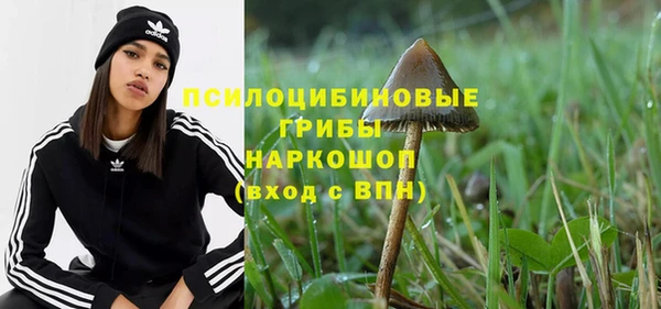 первитин Лабытнанги